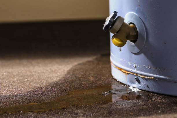Local water damage restoration in Geraldine, AL