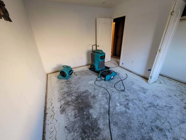 Best Professional water damage repair  in Gerdine, AL