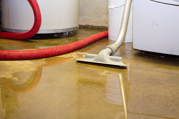 Professional Water damage restoration in Geraldine, AL