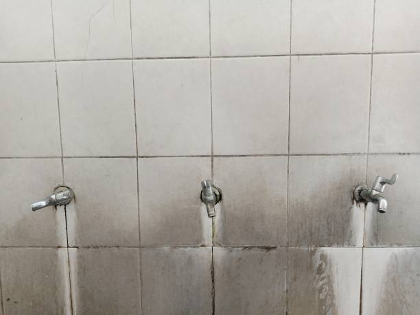 Best Carpet water damage restoration  in Gerdine, AL