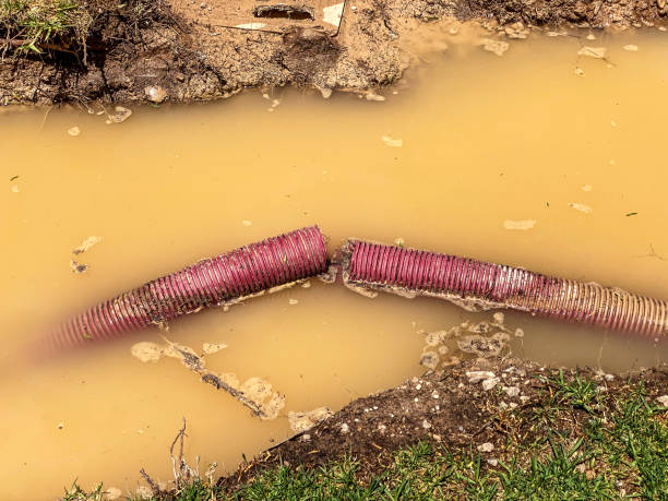 Best Basement water damage restoration  in Gerdine, AL